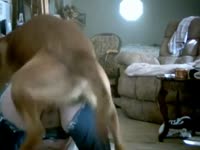 [ Zoophilia Film ] Doggy style dog zoophilia with a hot ass wife in need for sex